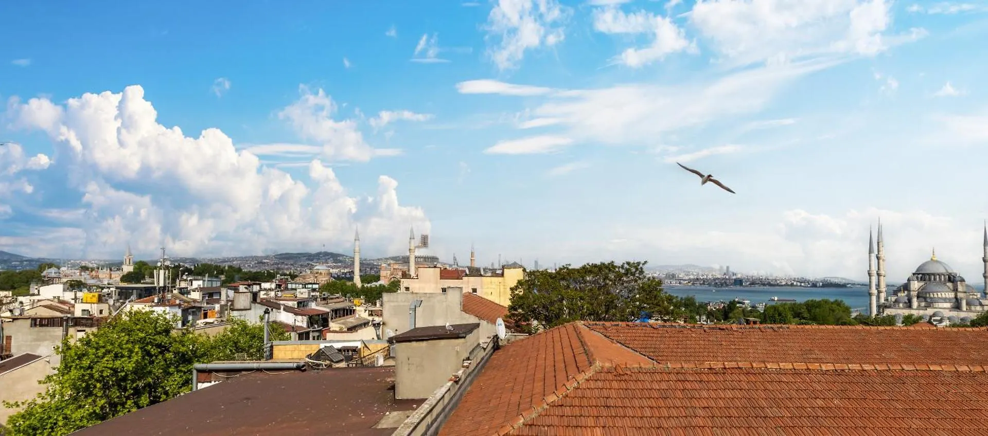 Rast Hotel Sultanahmet Estambul 4*,